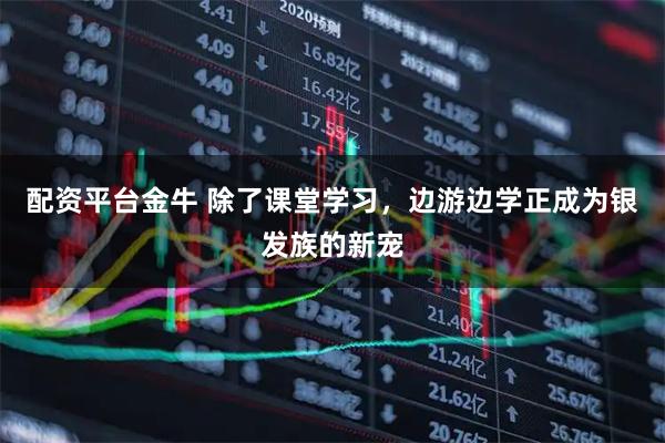 配资平台金牛 除了课堂学习，边游边学正成为银发族的新宠